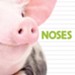 Noses, Hardcover