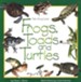 Frogs, Toads and Turtles
