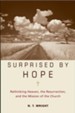 Surprised by Hope - eBook
