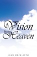 A Vision from Heaven - eBook