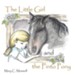 The Little Girl and the Pinto Pony - eBook