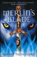 Merlin's Blade, Merlin Spiral Series #1