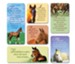 Horse Magnets, Set of 6