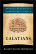 Galatians: Brazos Theological Commentary on the Bible
