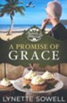 A Promise of Grace, Seasons in Pinecraft Series #3