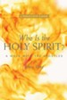 Who is the Holy Spirit: A Walk with the Apostles - eBook