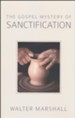 The Gospel Mystery of Sanctification [Paperback]