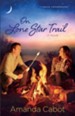 On Lone Star Trail (Texas Crossroads Book #3): A Novel - eBook