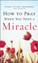How to Pray When You Need a Miracle - eBook