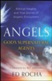 Angels--God's Supernatural Agents: Biblical Insights   and True Stories of Angelic Encounters