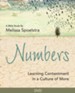 Numbers: Learning Contentment in a Culture of More - Women's Bible Study DVD