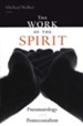 The Work of the Spirit: Pneumatology and Pentecostalism