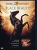 Black Beauty, DVD