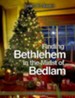 Finding Bethlehem in the Midst of Bedlam - Large Print edition