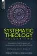 Systematic Theology (Vol2): The Beauty of Christ - a Trinitarian Vision - eBook