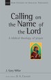 Calling on the Name of the Lord: A Biblical Theology of Prayer [NSBT]