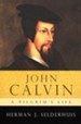 John Calvin: A Pilgrim's Life