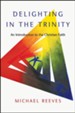 Delighting in the Trinity: An Introduction to the Christian Faith