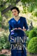 Shine Like the Dawn: A Novel - eBook