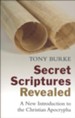 Secret Scriptures Revealed: A New Introduction to the Christian Apocrypha