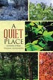 A Quiet Place: A Journey of Hope - eBook