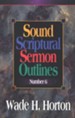 Sound Scriptural Sermon Outlines, Volume 6