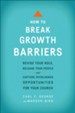 How to Break Growth Barriers: Revise Your Role, Release Your People, and Capture Overlooked Opportunities for Your Church / Revised - eBook