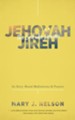 Jehovah-Jireh: The God Who Provides: 60 Story-Based Meditations and Prayers - eBook