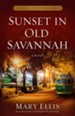 Sunset in Old Savannah - eBook