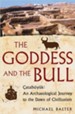 The Goddess and the Bull: Catalhoyuk: An Archaeological Journey to the Dawn of Civilization - eBook
