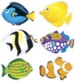 Fish Mini Classic Accents Variety Pack