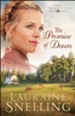 The Promise of Dawn (Under Northern Skies Book #1) - eBook