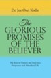 The Glorious Promises of the Believer: The Keys to Unlock the Door to a Prosperous and Abundant Life - eBook