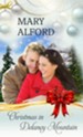 Christmas In Delaney Mountain - eBook