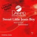 Sweet Little Jesus Boy, Accompaniment CD