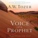 Voice of a Prophet: Who Speaks for God? - Unabridged Audiobook [Download]