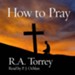 How to Pray - Unabridged edition Audiobook [Download]