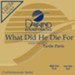 What Did He Die For? [Music Download]