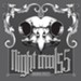 Night Owls 5: Bird Flu [Music Download]
