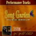 In The Shelter Of His Arms (Performance Track) [Music Download]