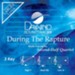 During The Rapture [Music Download]