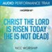 Christ the Lord Is Risen Today (He Is Not Dead) [Audio Performance Trax] [Music Download]