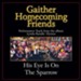 His Eye Is On the Sparrow Performance Tracks [Music Download]