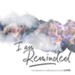 I Am Reminded (feat. Nicole Binion) [Live] [Music Download]