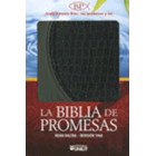 Numero De Promesas De Dios Hay En La Biblia