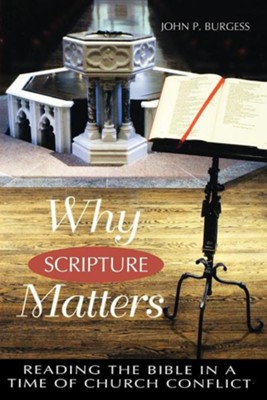 Why Scripture Matters: Reading the Bible in a Time of  Romans  -     By: John P. Burgess
