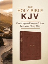 KJV Holy Bible with Study Plan, soft leather-look, gold & cinnamon