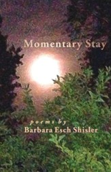 Momentary Stay