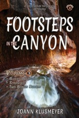 Buried Treasure and Stranded: A Footsteps in the Canyon Anthology