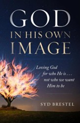 God in His Own Image: Loving God For Who He Is... Not Who You Want Him to Be - Slightly Imperfect